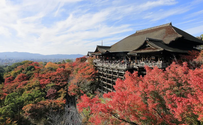 Sân khấu gỗ của chùa Kiyomizu-dera nổi bật giữa sắc lá thu rực rỡ, nhìn xuống thành phố Kyoto.