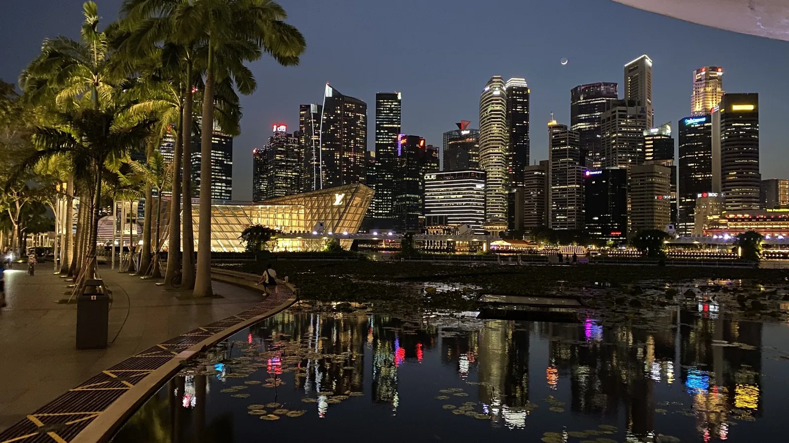 Đường chân trời Singapore rực sáng phản chiếu trên mặt nước Vịnh Marina, viền quanh bởi hàng cọ lúc chạng vạng.