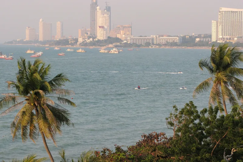 Hàng cây dừa che khung cảnh vịnh Pattaya với thuyền, mô tô nước và đường chân trời thành phố phía xa.